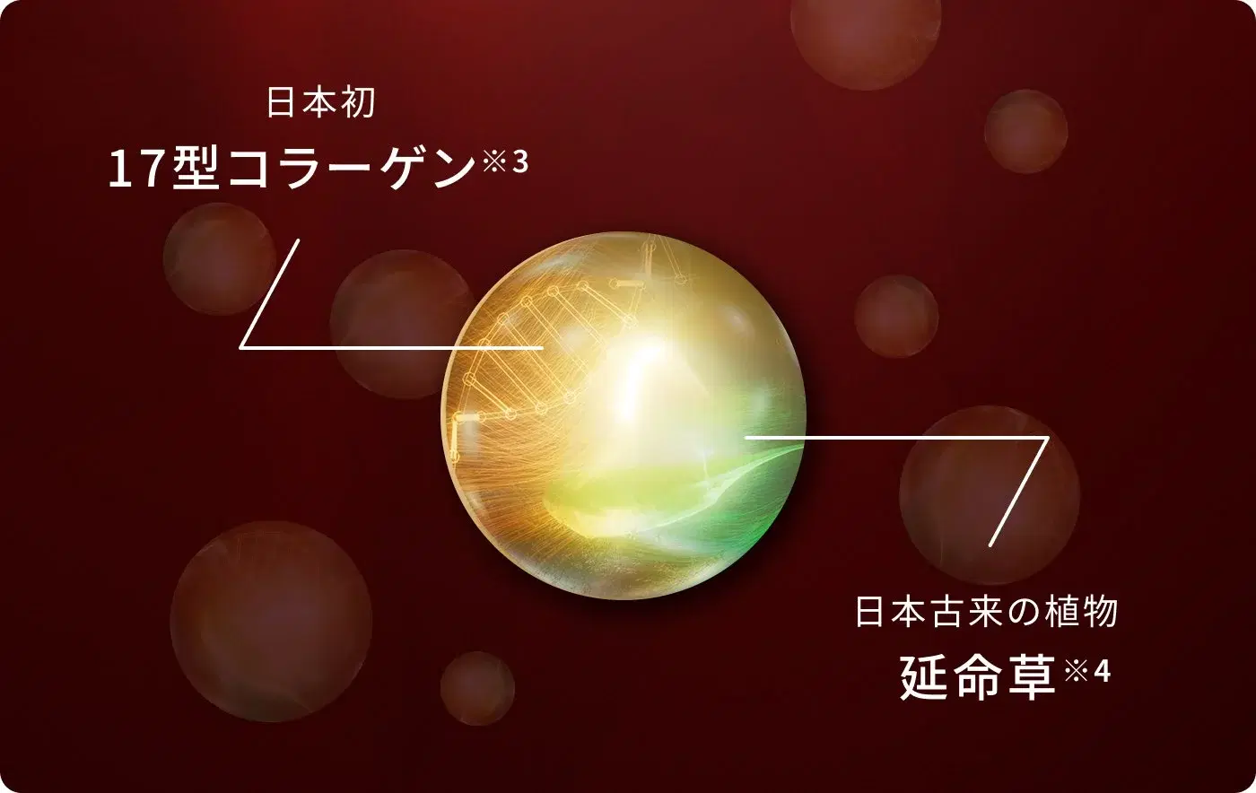 17型コラーゲンと延命草のイメージ