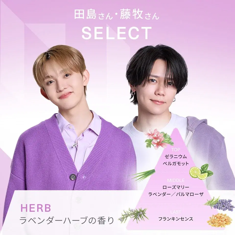 INI × MEDULLA 香り SELECT(HERB)