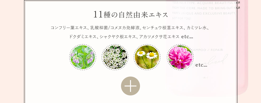 11種の自然由来エキス